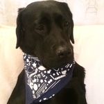 Pepper Jones - @pepperjones_ - Instagram