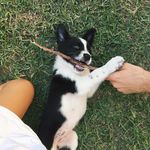 Pepper Jones! - @worldofpep - Instagram