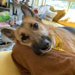Pepper Roni Jones - @uilreppep - Instagram