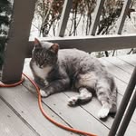 Pepper Miller - @pepper_miller112115 - Instagram