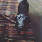 Pepper Miller - @pepper_m_w_56 - Instagram