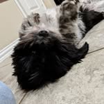 Pepper Miller - @ayo_itspepper - Instagram