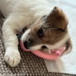 Pepper Miller - @pepperm_halcyonsea - Instagram