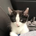 Pepper Miller - @life_of_pepper_miller - Instagram