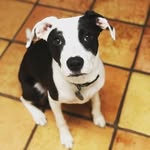 Pepper Potts Miller - @pepperpottsmiller - Instagram