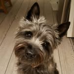 Per Nilsen - @jeppethecairn - Instagram
