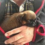 Per Olsen - @per_norrmannen - Instagram