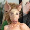perolsen - @perolsen_72 - TikTok