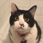 Percy Allen Billick - @percy_allenb - Instagram