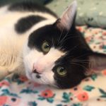 Percy Allen Billick - @percyallenbillick - Instagram
