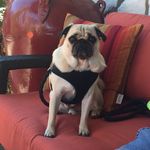 Percy Allen Hanks - @percyallenhanks - Instagram