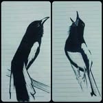 .. - @percy.black_white - Instagram