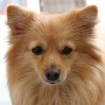 Percy Brown - @_percy_brown_ - Instagram