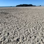 Fletcher Percy - @fletcherpercy2 - Instagram