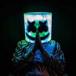 Percy Fox - @fox.percy - Instagram