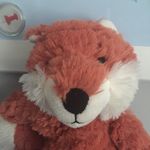 Percy the Fox - @percythecleverfox - Instagram