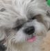Percy George - Facebook
