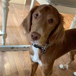 @percy_hicks13 - Instagram
