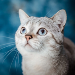 Percy Hope - Facebook