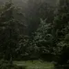 😍 - @percy.s.house - TikTok