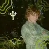 Percy's House - @percys.house0 - TikTok