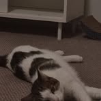 Percy Hunter - Facebook