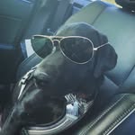 Percy Macs Hunter - @percymacs - Instagram