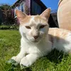 Jasper_Percy_and_Poppy - @jasper_percy_and_poppy - TikTok