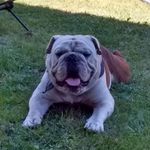 Percy Jones - @pery1061 - Instagram