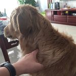 @percy.king - Instagram