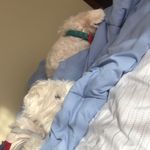 Percy Kirk - @percy.a.kirk - Instagram