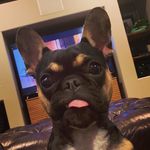 Percy J Knox Jr - @percy_knox_jr - Instagram