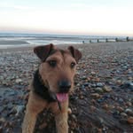 Percy Ingle - @percy_lakeland - Instagram