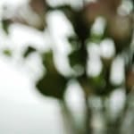 Percy Liu - @msperzl - Instagram