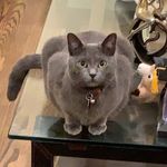Percy - @_percy.lopez_ - Instagram