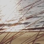 Percy Madison - @lovemenot165 - Instagram