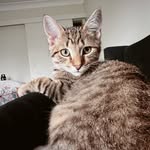 Percy Frank Meredith - @percyfrank.m - Instagram
