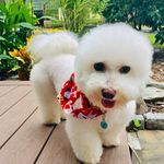 Linda Lee - @percy_millsurvivorandthriver - Instagram