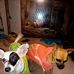 Percy Morgan - Facebook