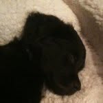 Percy Nelson - @percy_nelson - Instagram