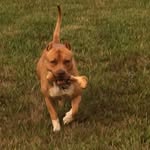 Percy Nelson Dpm - @kielow_bigboy - Instagram