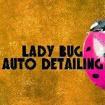 Percy Perkins - @ladybugdetailing - Instagram