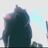 mercypollock239 - @mercypollock239 - TikTok