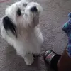 Percy Porter - @percy.porter1 - TikTok