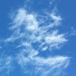 Percy Powers - @percypowers - Instagram