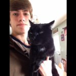 Percy The Cat Powers - @percycat14 - Instagram