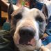 Percy rivera - Facebook