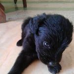Percy Rivera - @percyrivera_ - Instagram