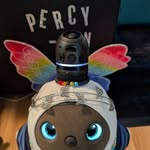 Percival (Percy) Rountree - @little_lovot_percy - Instagram