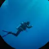 P. Samuels - @percysamuels7 - TikTok